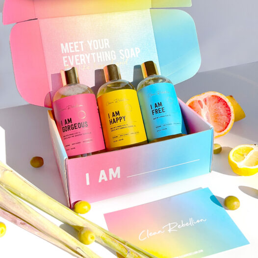 Clean Rebellion